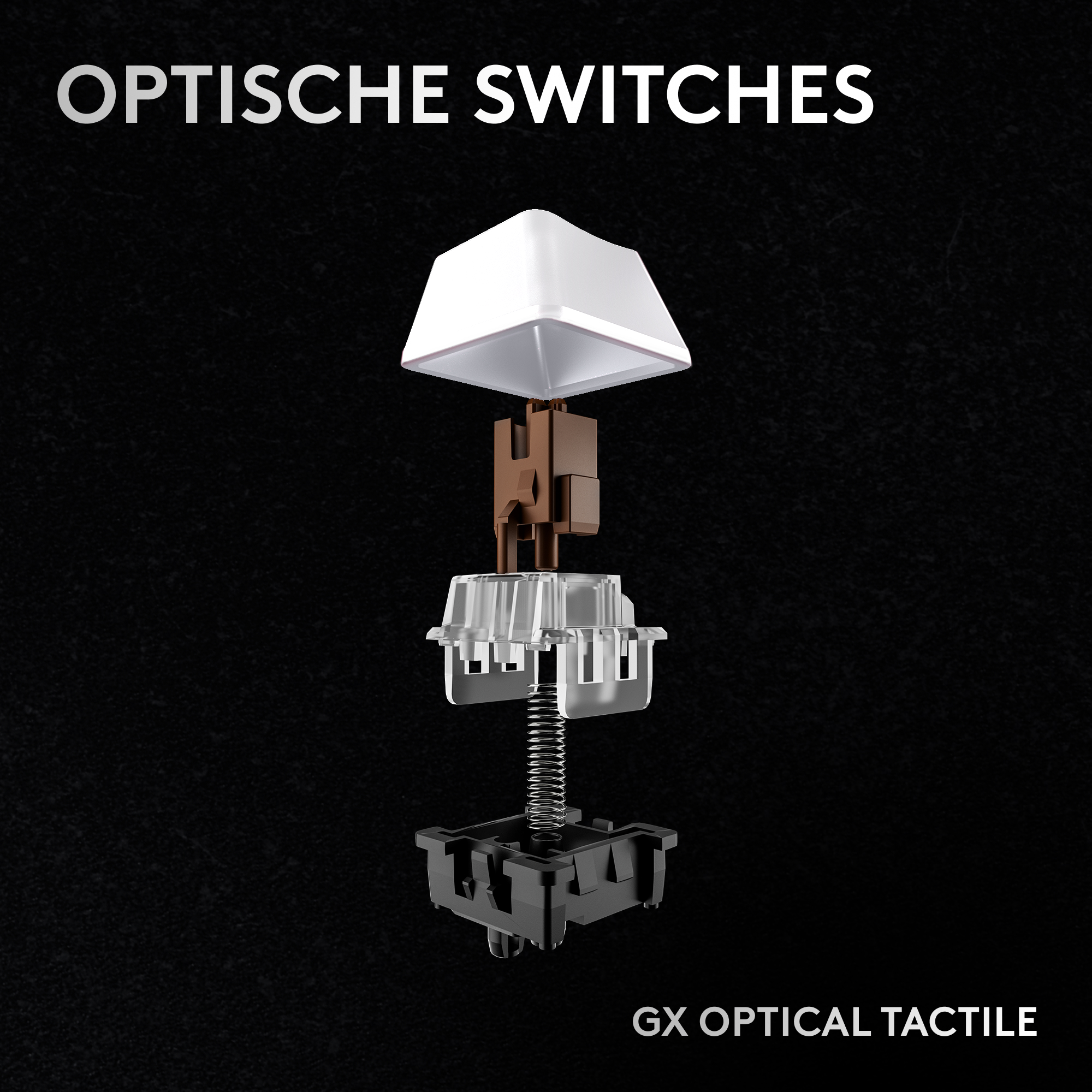 Explosionsansicht eines GX-Optical-Tactile-Schalters. Zeigt weiße Kappe, braunen Schaft, klares Gehäuse, Feder und schwarze Basis.