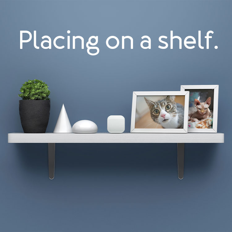 Egy polc növénnyel, geometrikus formákkal és macskafotókkal. A fenti szöveg: "Placing on a shelf" egy kék falon.