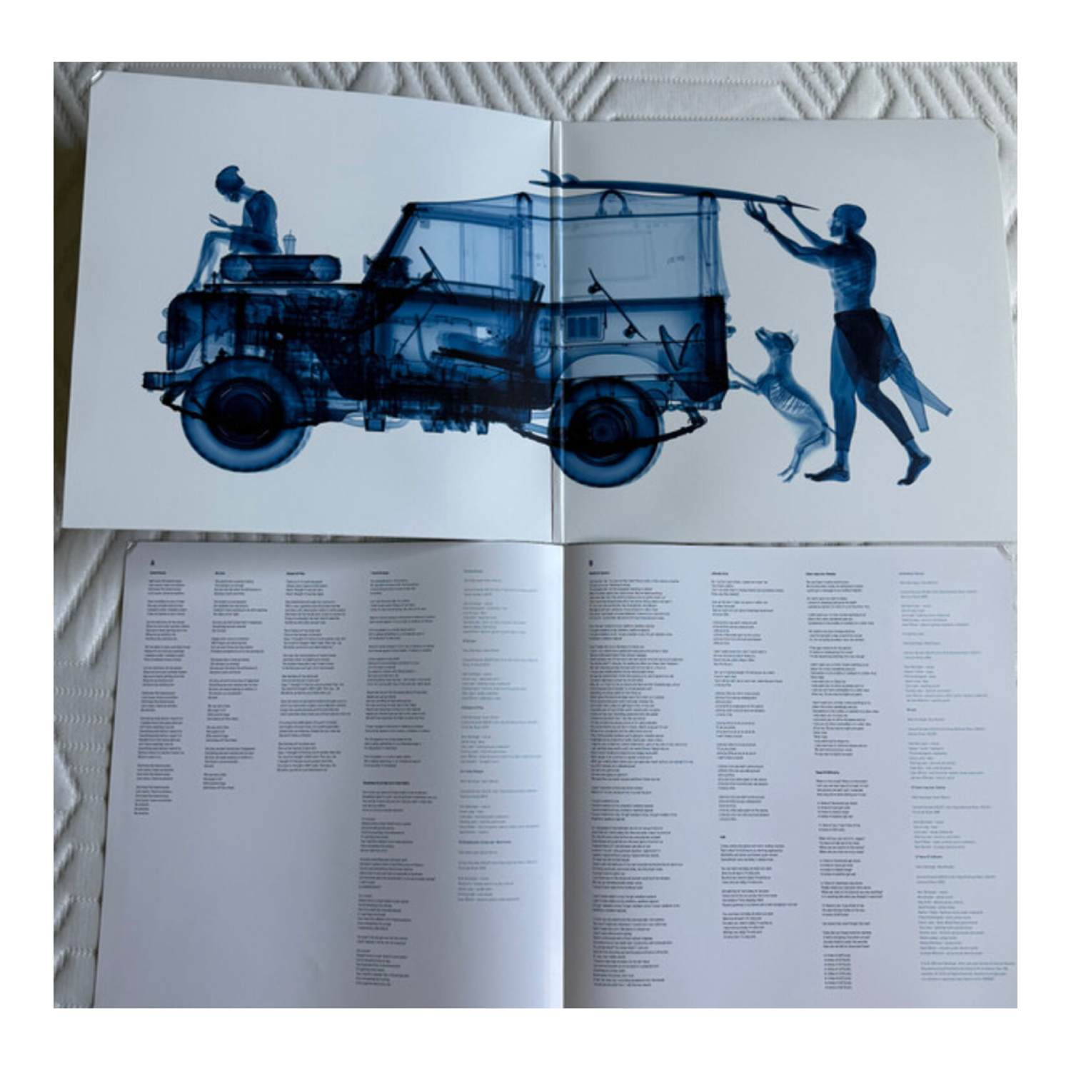 Image style rayons X. Personne sur voiture, tenant une planche de surf avec un chien. Pages de texte en bas.