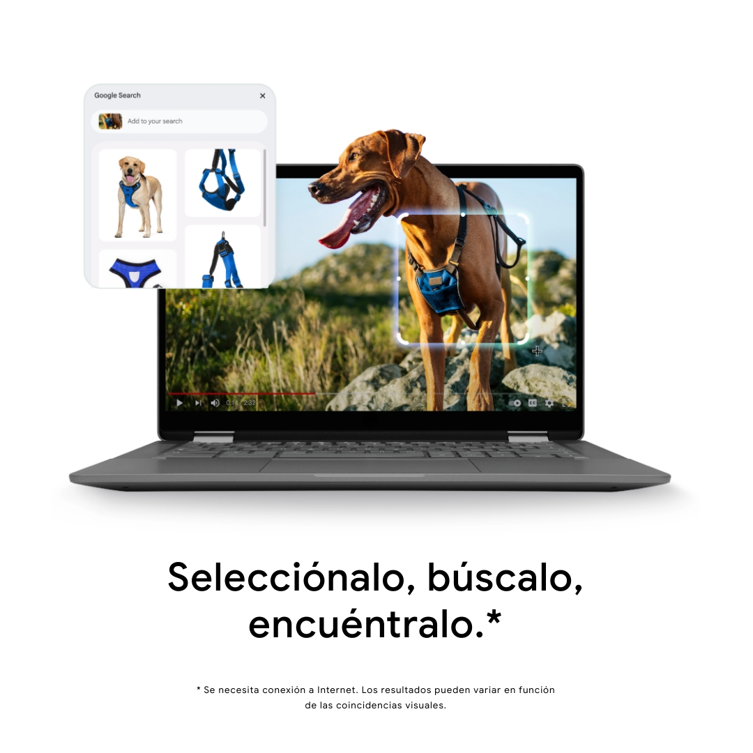 Ordenador portátil mostrando un perro con arnés azul, sugerencias de Google Search. El texto dice: 'Selecciónalo, búscalo, encuéntralo.'