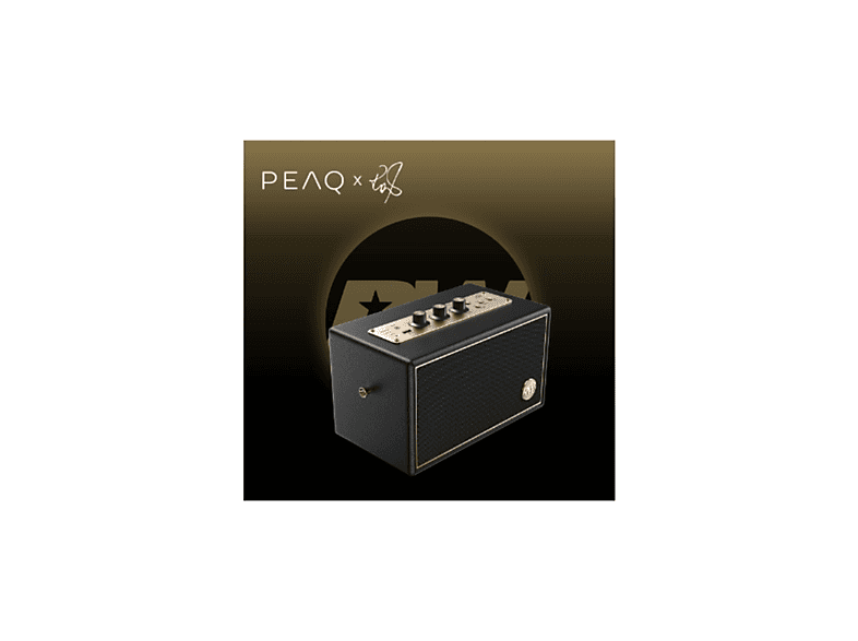 PEAQ PPA 550-RW Retro Bluetooth speaker Zwart kopen? | MediaMarkt