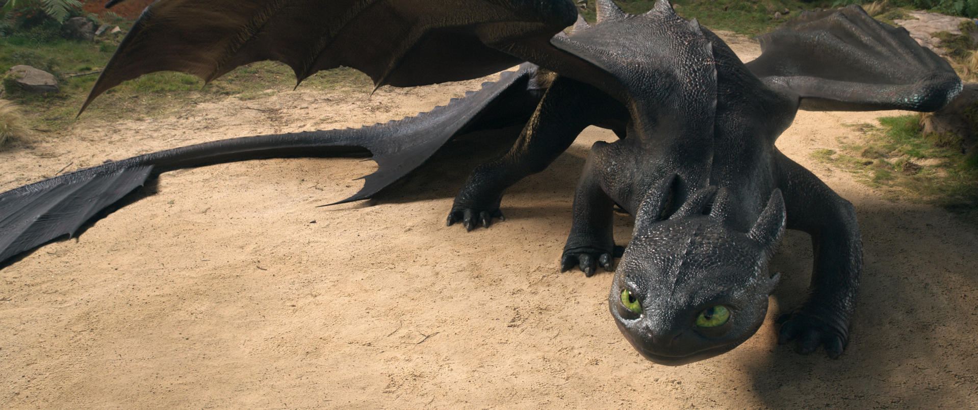 Ein schwarzer Drache mit grünen Augen liegt auf Sand. Seine Flügel sind ausgebreitet. Der Drache blickt den Betrachter an. Der Hintergrund umfasst Gras und Blätter.