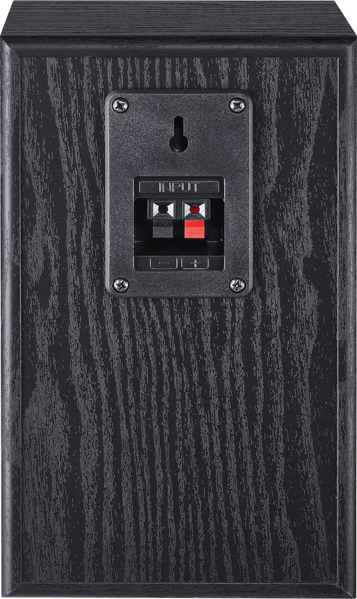 Schwarze Lautsprecherrückseite mit Eingangsanschlüssen. Ein kleines schwarzes Panel mit Haken und Schraubenlöchern ist sichtbar.