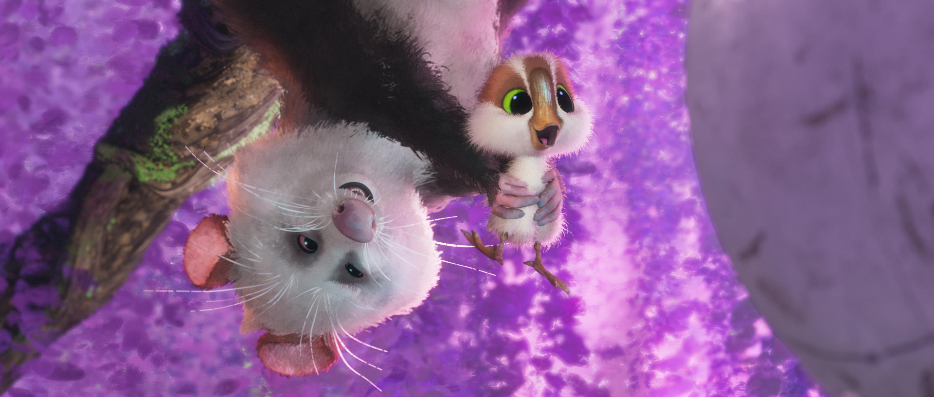 Ein Zeichentrick-Opossum und ein Vogel sind kopfüber. Das Opossum ist weiß mit schwarzem Fell. Der Vogel hat braun, weiß und grün.