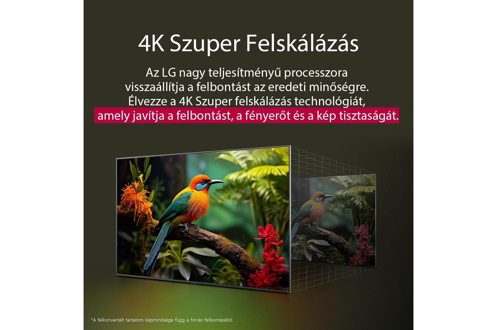 Egy LG TV színes madárral egy ágon, és szöveg a 4K felskálázási technológiáról a képminőség javítása érdekében.