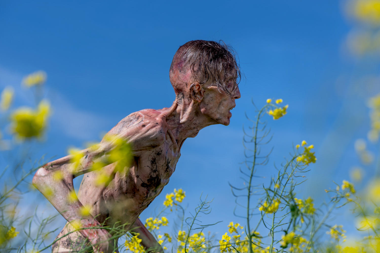 Eine hager Figur in einem Feld gelber Blumen vor blauem Himmel. Die Person ist abgemagert, Knochen sind sichtbar.