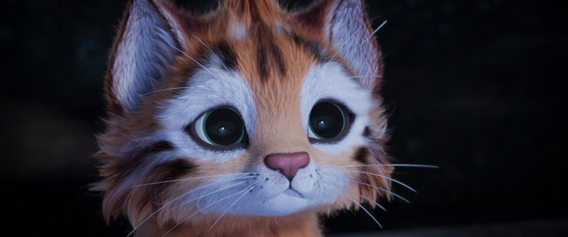 Nahaufnahme einer Cartoon-Katze. Orange-weißes Fell, große grüne Augen, rosa Nase und Schnurrhaare. Dunkler Hintergrund.