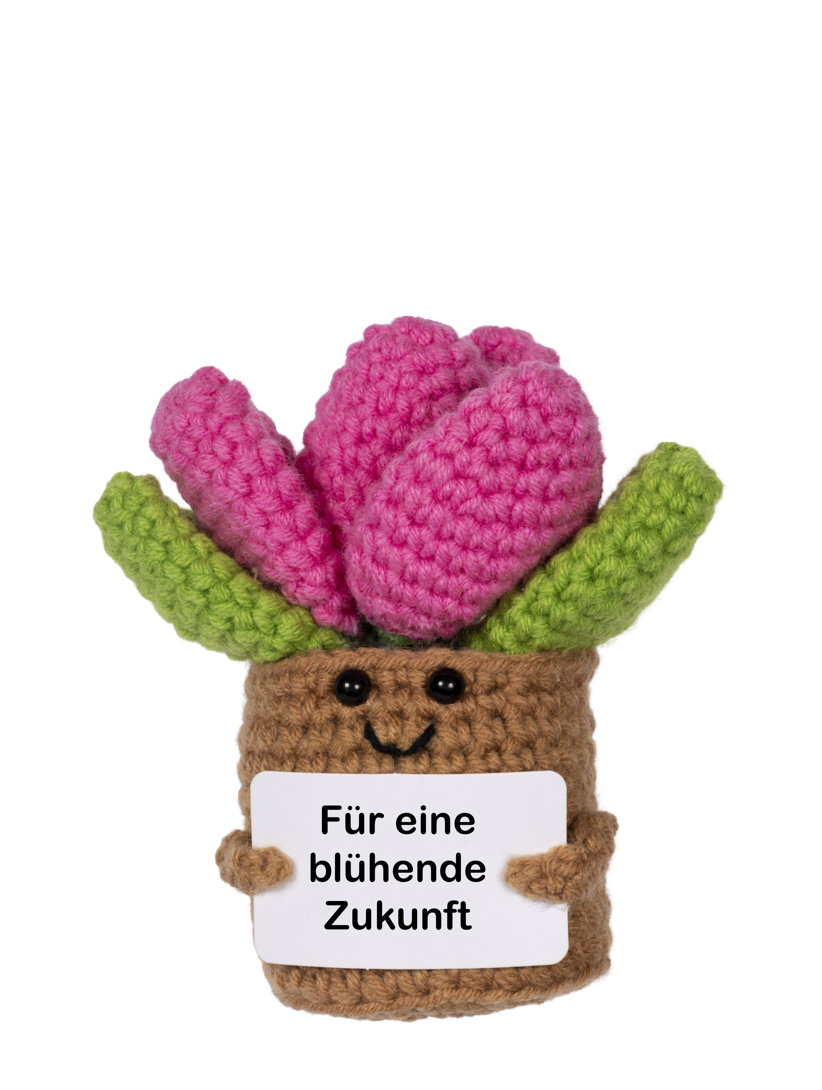 Gehäkelter Blumentopf hält ein Schild mit deutschem Text. Rosa Blumen, grüne Blätter und ein lächelndes Gesicht sind sichtbar.