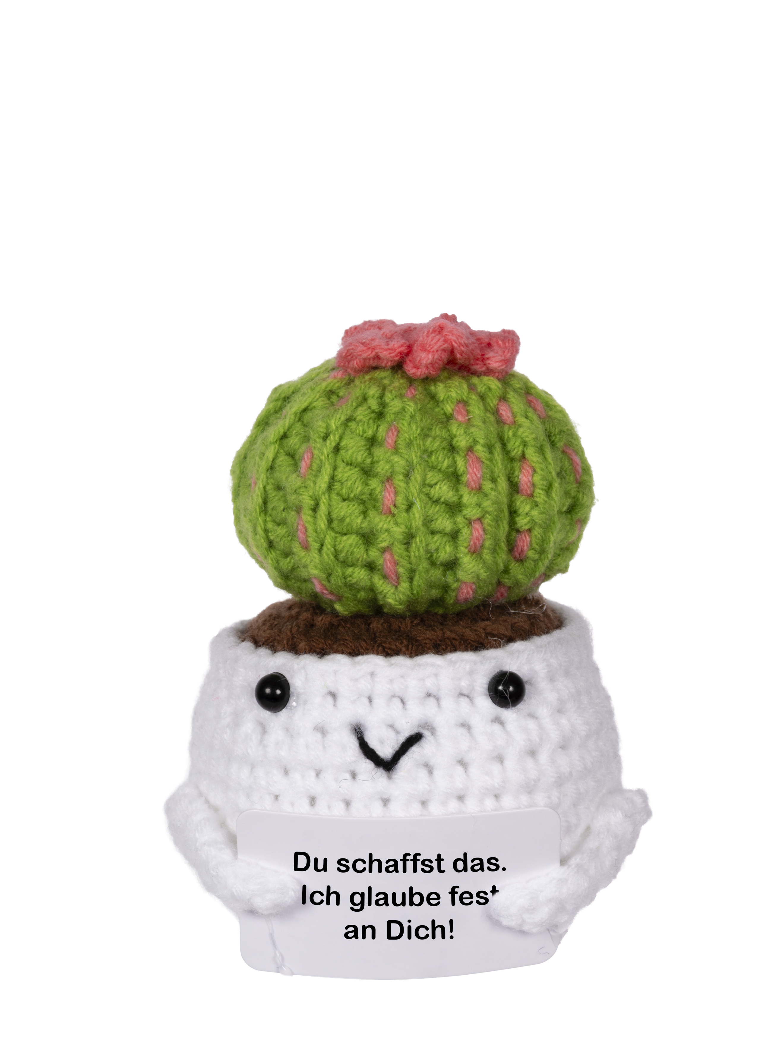 Gehäkelter Kaktus mit pinker Blüte, schwarzen Augen und lächelndem Gesicht, das ein Schild hält. Weißer Hintergrund.