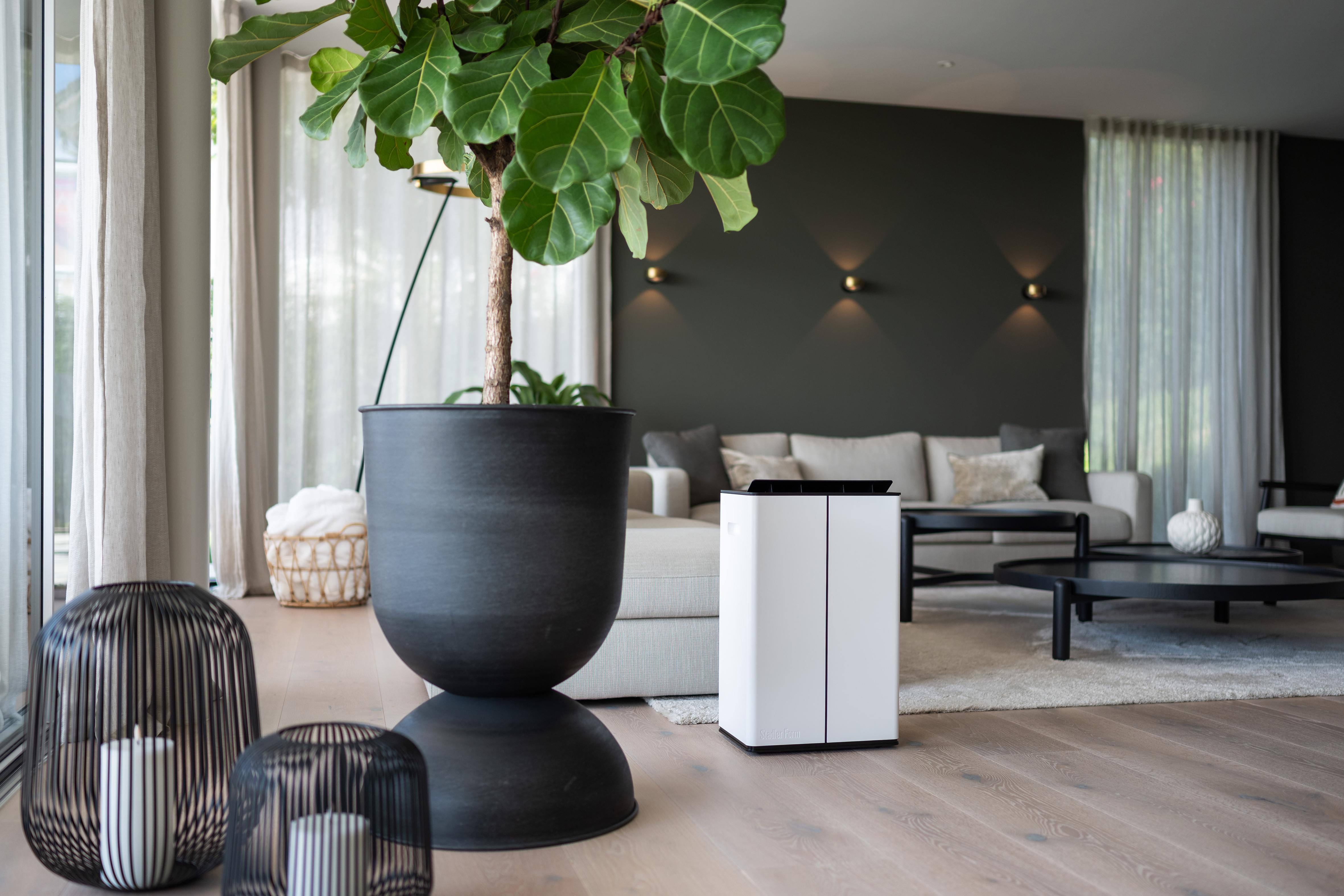 Wohnzimmer mit großer Pflanze, weißem Luftreiniger, Sofa, schwarzen Tischen und dekorativen Kerzenhaltern. Helles Holz.
