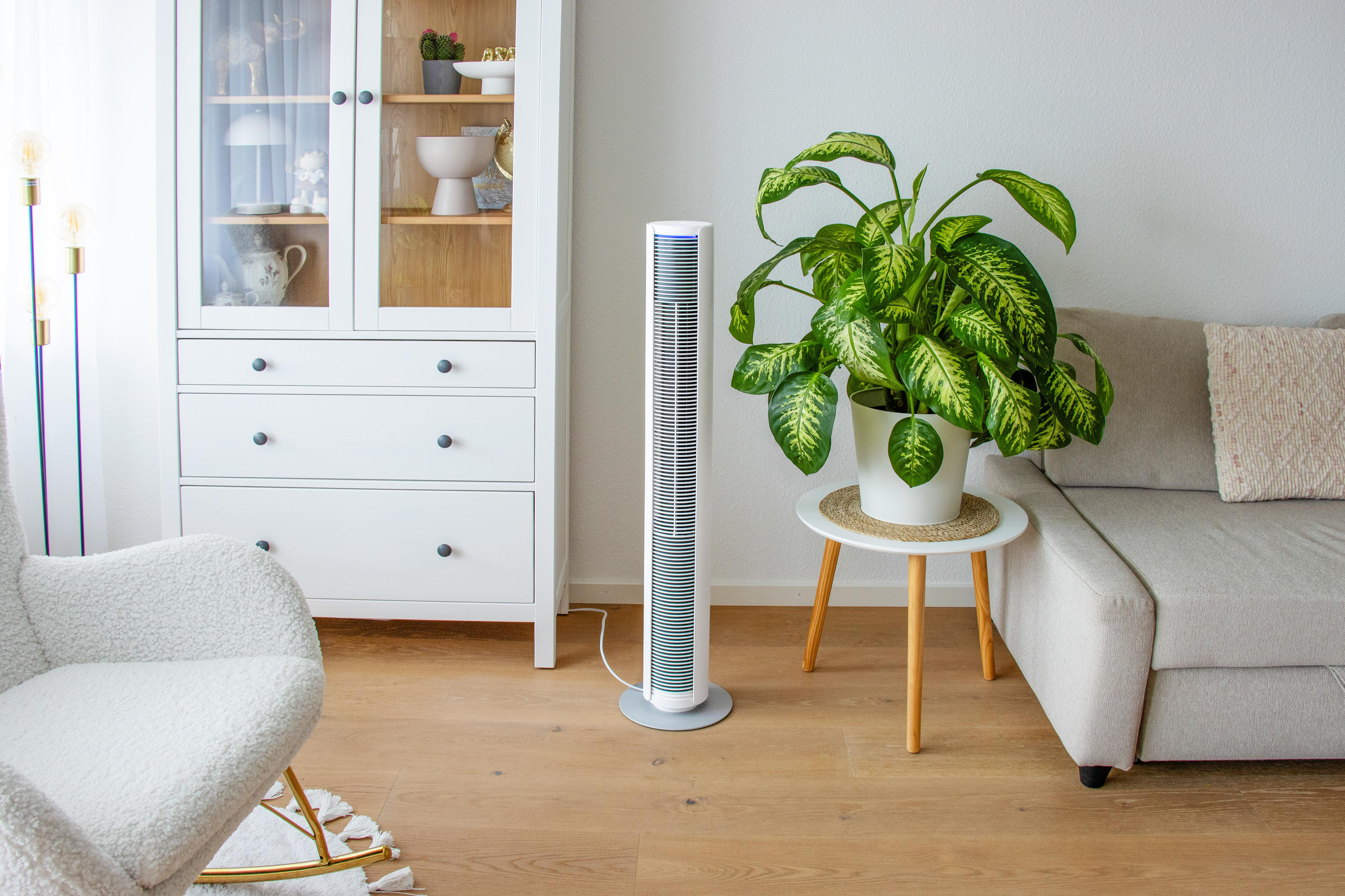 Ein Wohnzimmer mit weißem Schrank, Ventilator, Pflanze, Sofa und Stuhl. Holzboden und weiße Wand.
