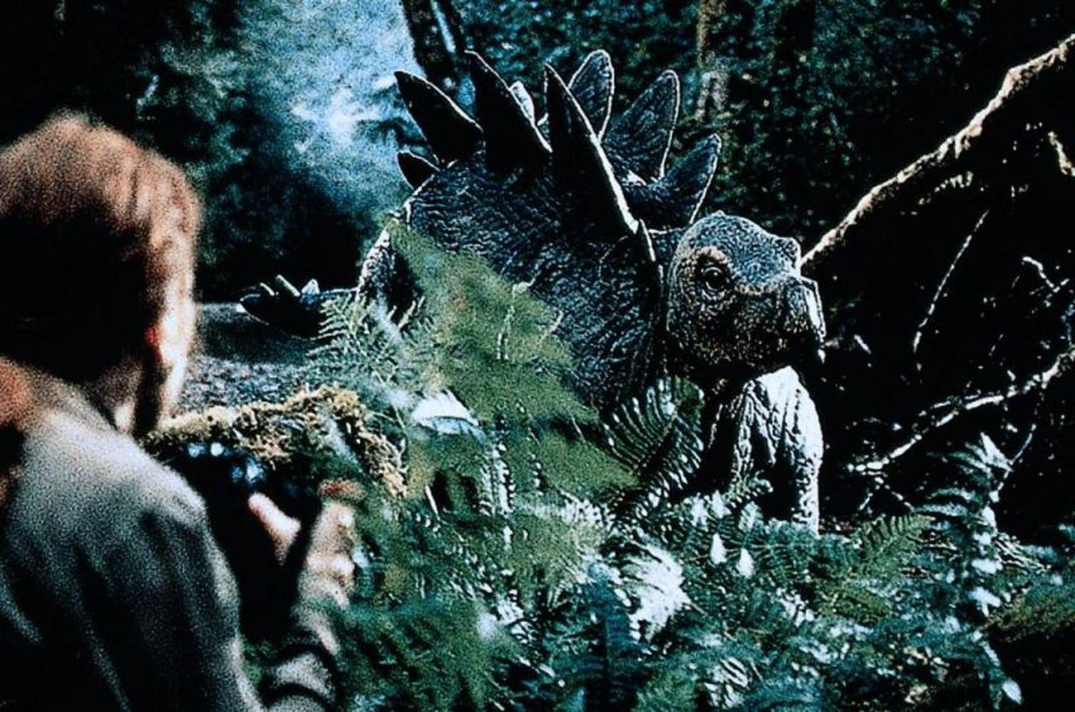 Ein Dinosaurier, Stegosaurus, steht in einem Wald. Eine Person wird von hinten gesehen, die eine Kamera hält und den Dinosaurier betrachtet.
