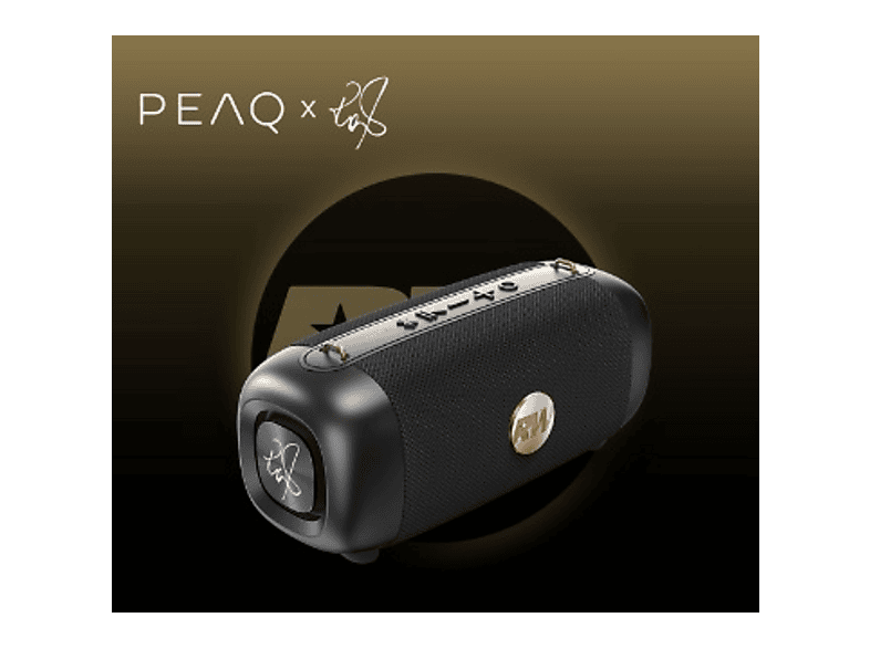 Głośnik bezprzewodowy PEAQ PPA 405-RW Robbie Williams Edition Czarny – zdjęcie 3