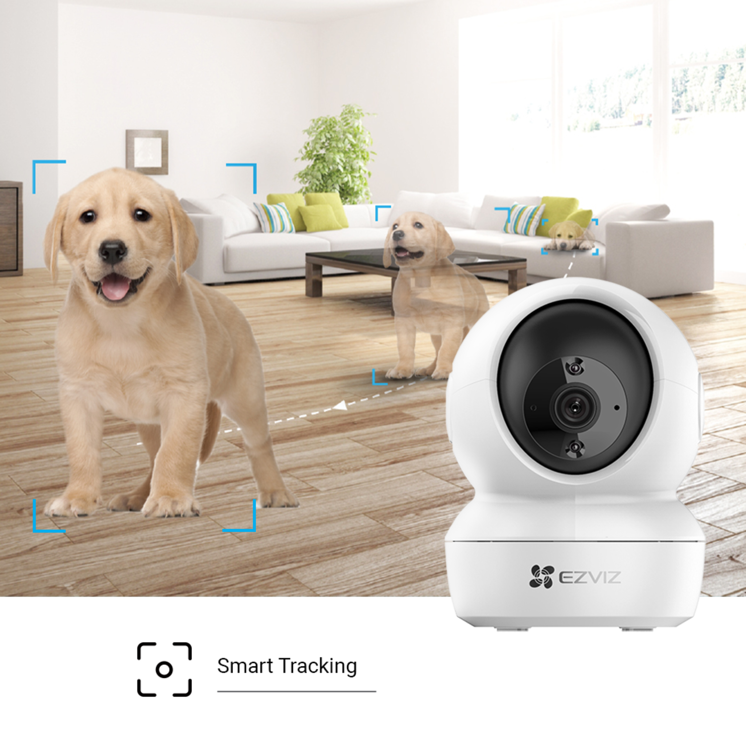 A white EZVIZ camera tracks three Labrador puppies in a living room. The puppies are light brown. Smart tracking is shown.