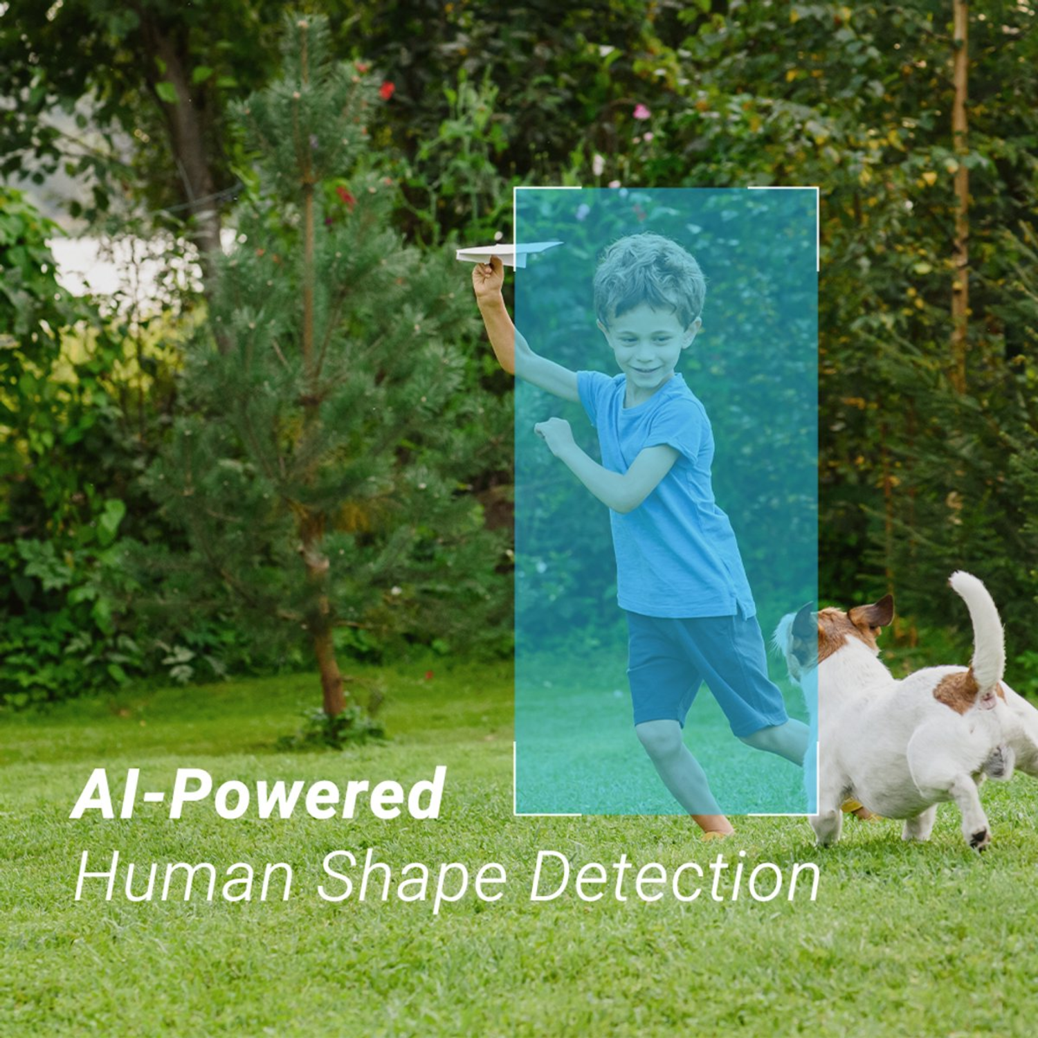 A boy throws a paper airplane. A dog runs beside him. The background shows green trees and grass.