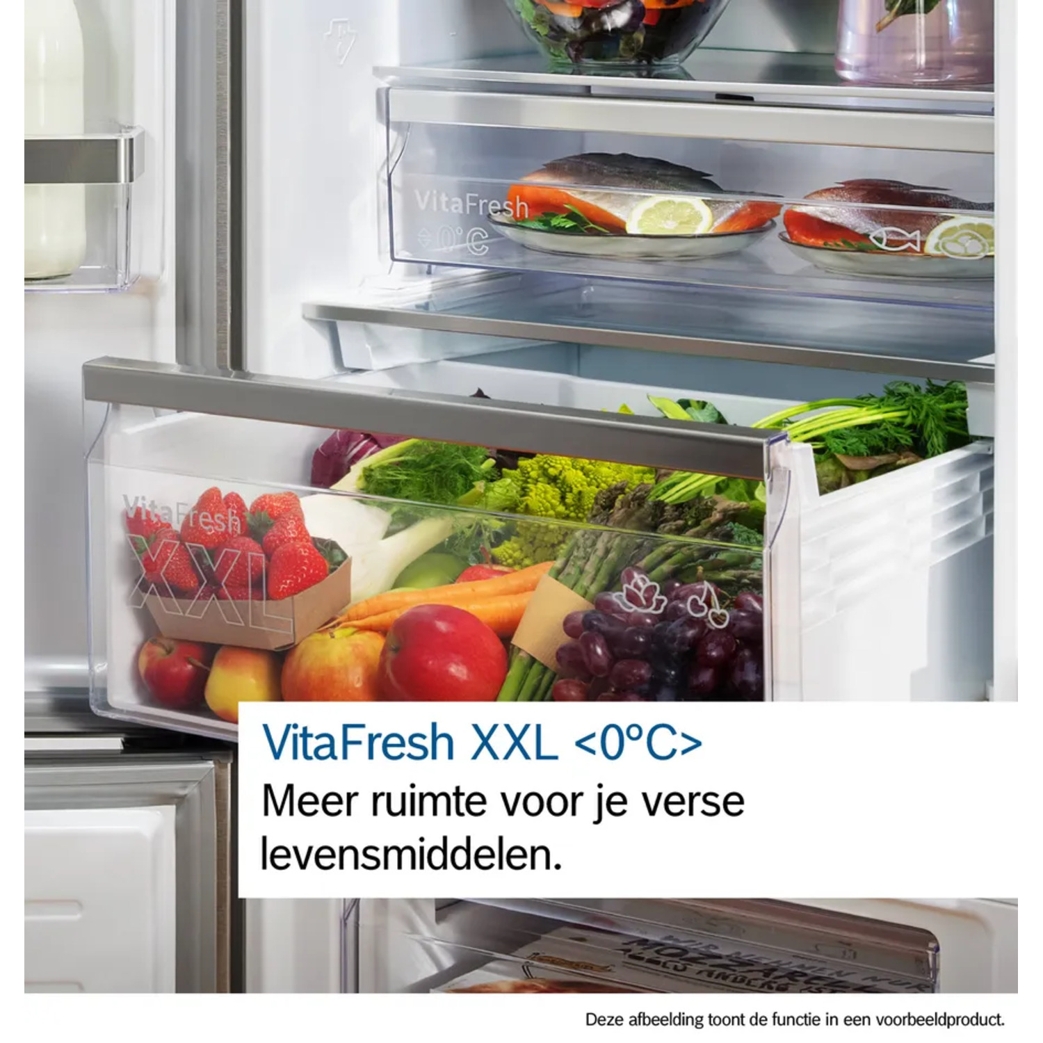 Refrigerator interior. Fruits and vegetables in the lower drawer. Fish and lemon on a tray. Text at the bottom: VitaFresh XXL <lt/>0°C<gt/>.