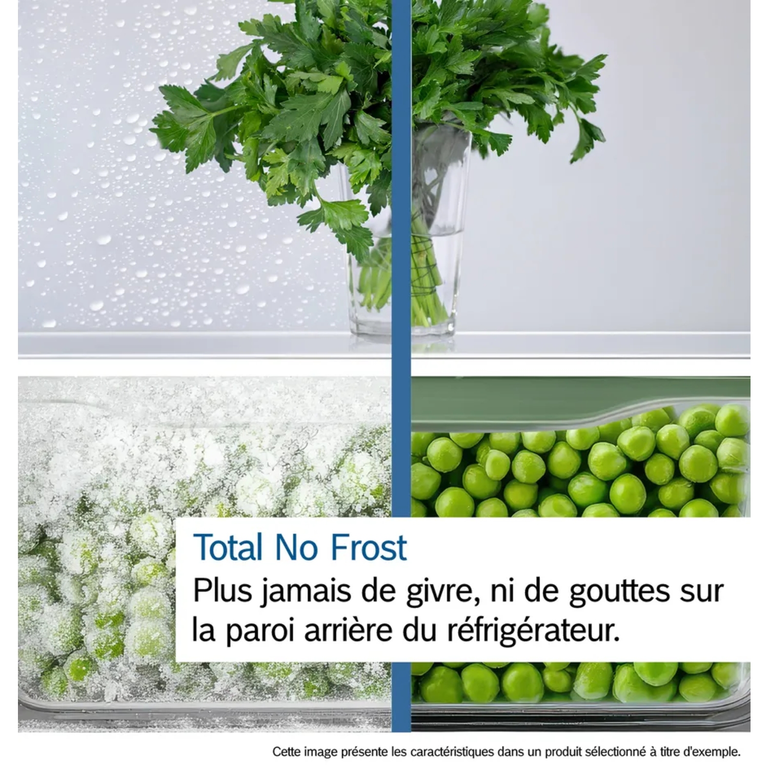 L'image montre l'intérieur d'un réfrigérateur avec du persil vert dans un verre, des petits pois surgelés et frais. Texte indique "Total No Frost".