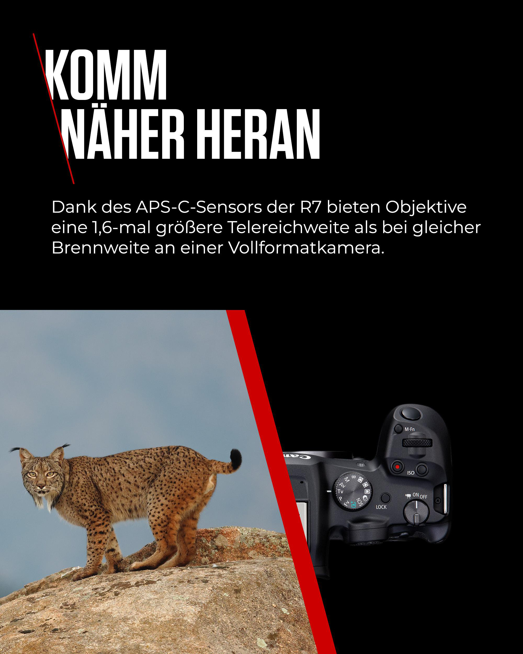 Ein Luchs steht auf einem Felsen, im Hintergrund eine Kamera und der Text „KOMM NÄHER HERAN“.