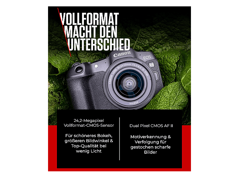 Thumbnail - CANON EOS R8 Kit Spiegellose Systemkameras mit Objektiv 24-50 mm, 7,5 cm Display, WLAN