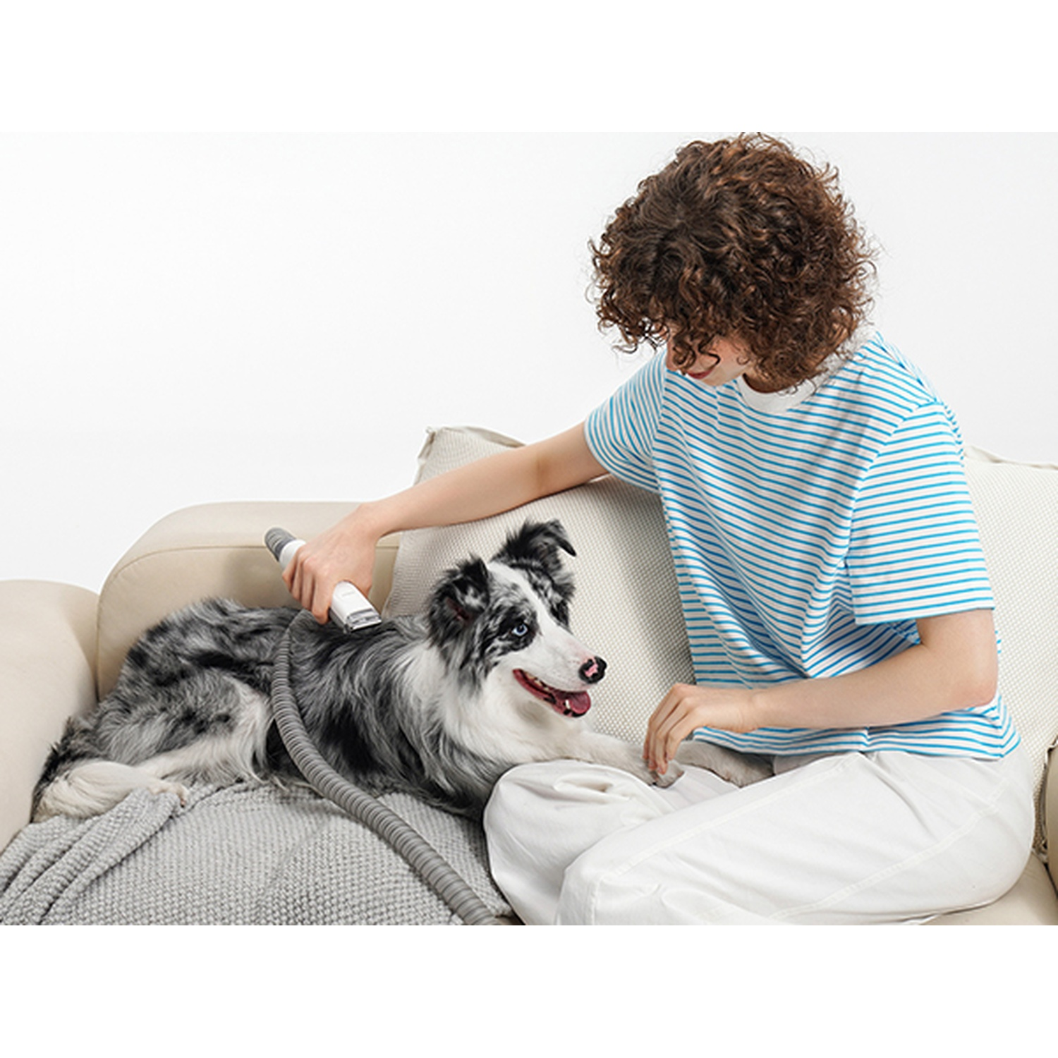 Una persona spazzola un cane su un divano. Il cane è grigio e bianco. La persona indossa una camicia a righe blu e bianche.