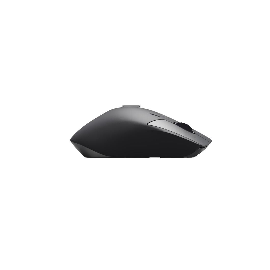 Eine schwarze Computermaus im Profil. Die Maus hat ein Scrollrad und Tasten. Der Hintergrund ist schlicht weiß.