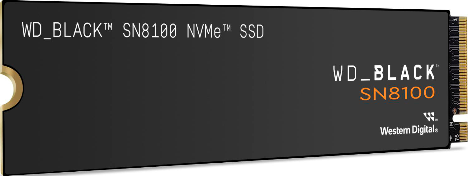 Eine schwarze WD_BLACK SN8100 NVMe SSD. Text: WD_BLACK, SN8100 und Western Digital. Goldener Kreis links.