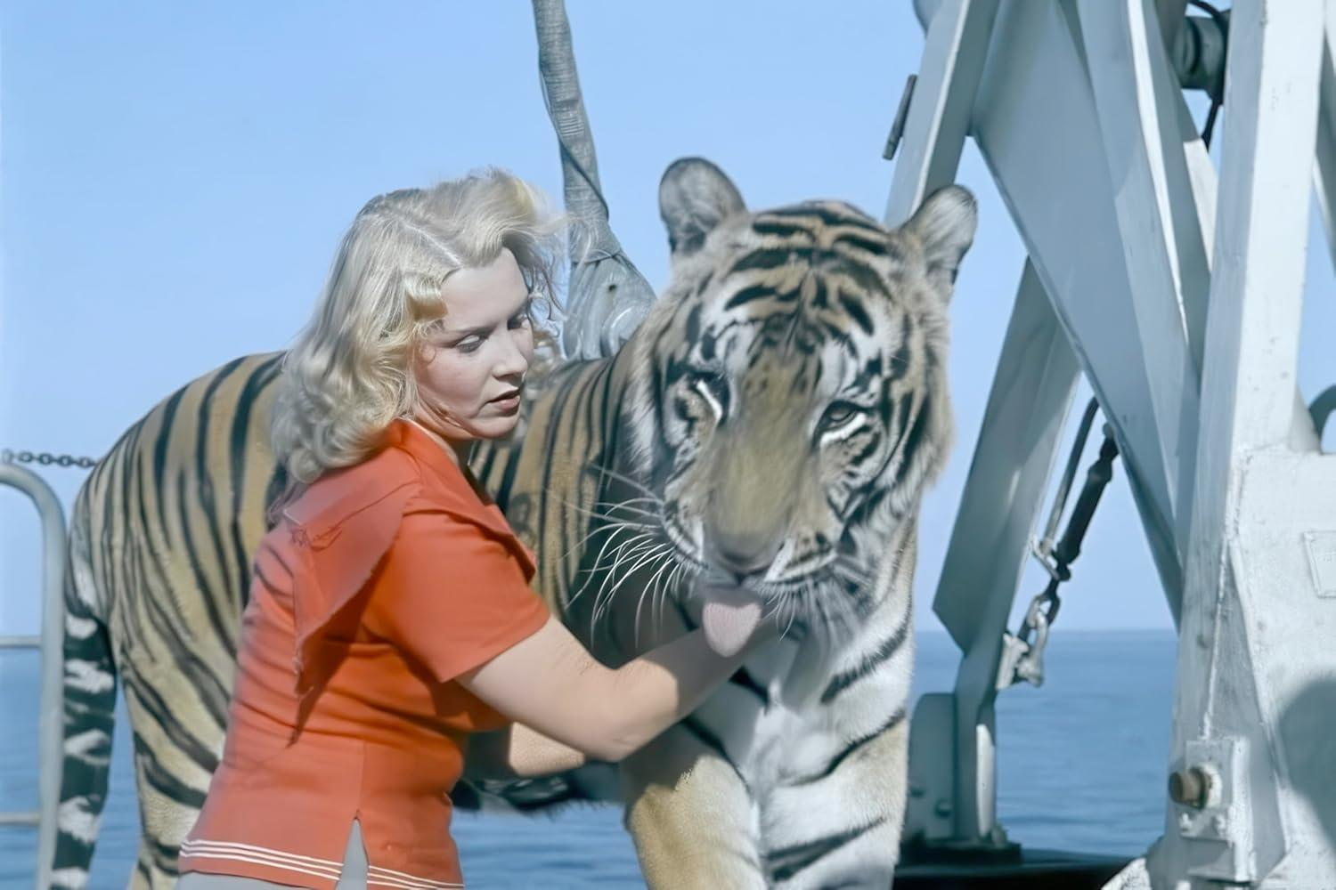 Eine Frau in einem orangefarbenen Hemd streichelt einen Tiger auf einem Schiff. Der Tiger leckt sich die Nase. Blauer Himmel und Meer im Hintergrund.