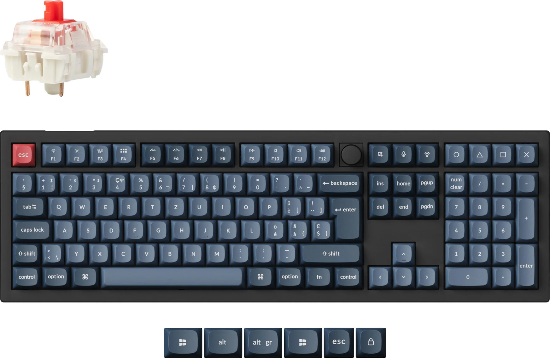 Eine mechanische Tastatur mit roter ESC-Taste, blauen Tastenkappen und einem Schalter. Der Hintergrund ist weiß.