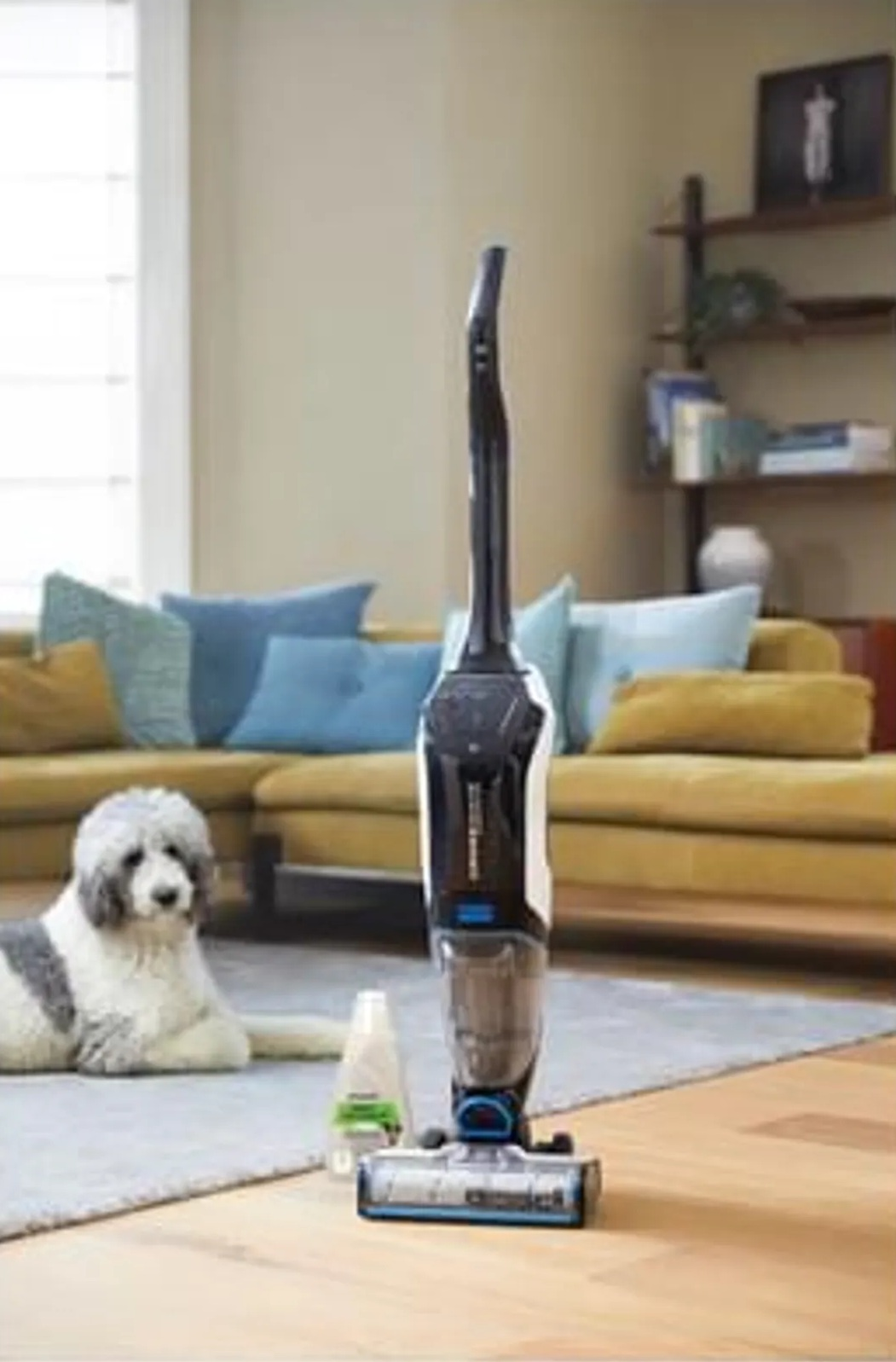 Odkurzacz stoi obok psa na drewnianej podłodze. W tle kanapa i półki.