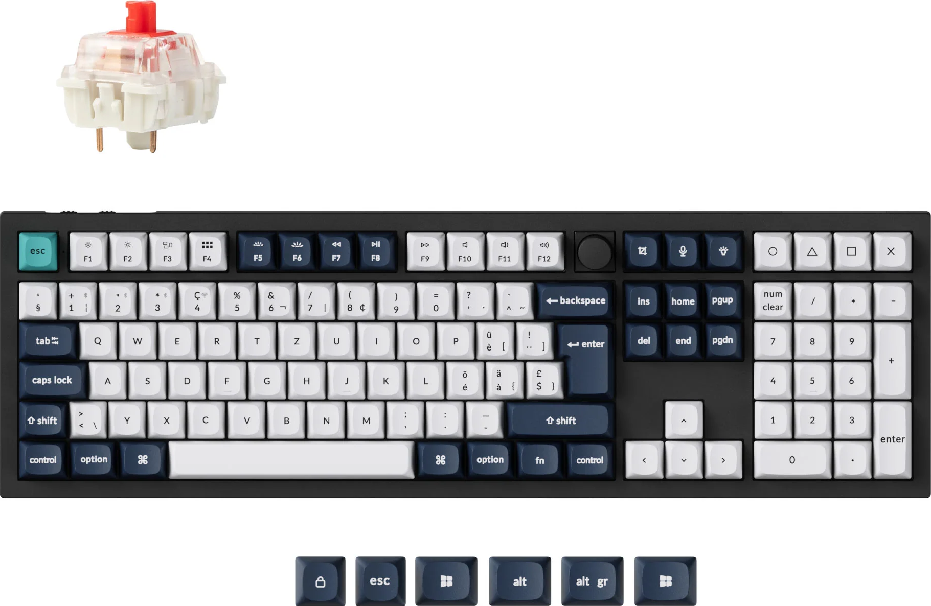 Eine mechanische Tastatur mit rotem Schalter und Tastenkappen. Die Tastatur hat eine dunkelgraue Basis, mit weißen und dunkelblauen Tasten.