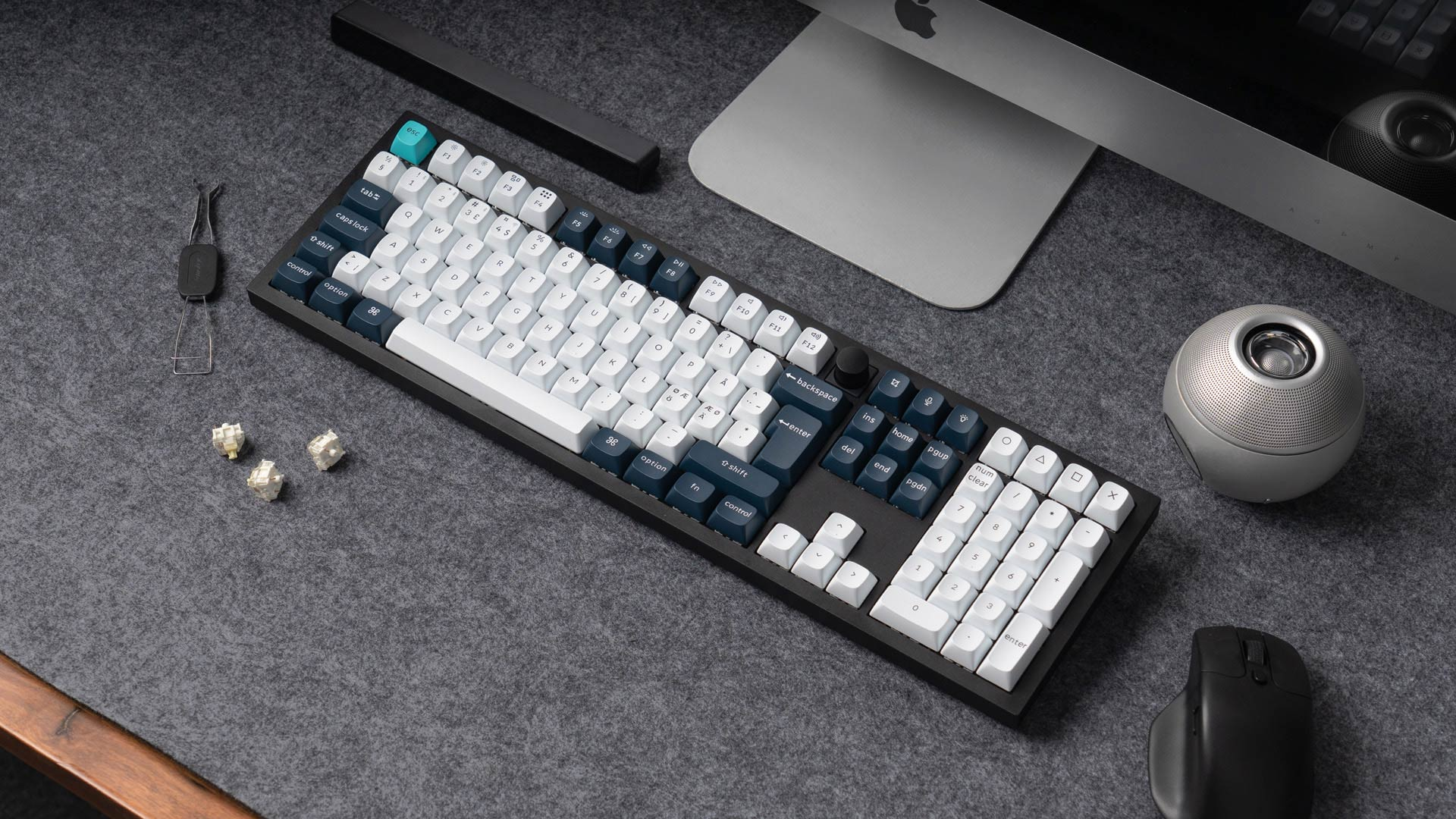Eine mechanische Tastatur mit weißen und blauen Tasten liegt auf einer grauen Oberfläche. Ein Computer, ein Lautsprecher und eine Maus sind ebenfalls vorhanden.