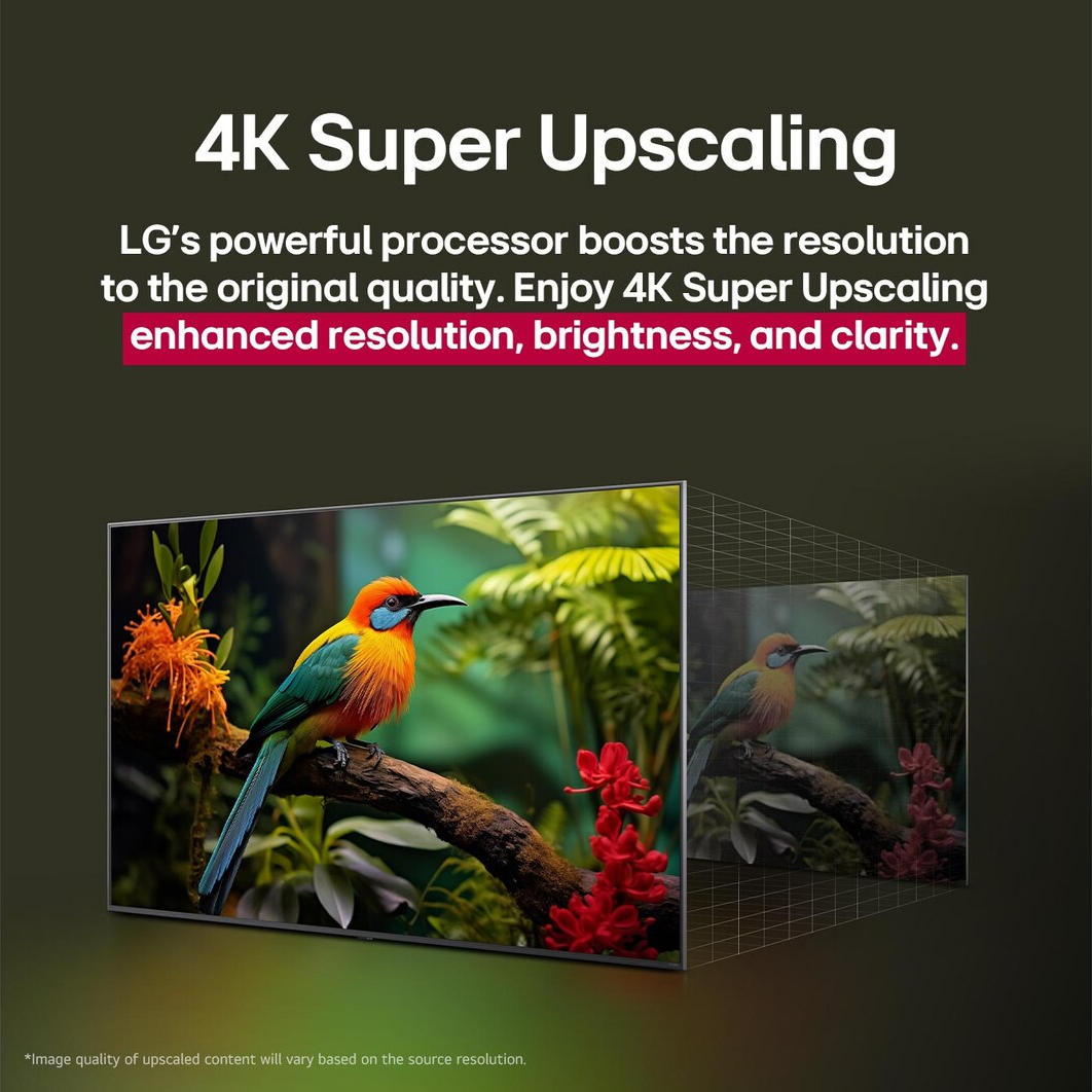 Ein LG-Fernseher zeigt einen bunten Vogel auf einem Ast. Der Text wirbt für 4K Super Upscaling für verbesserte Auflösung.