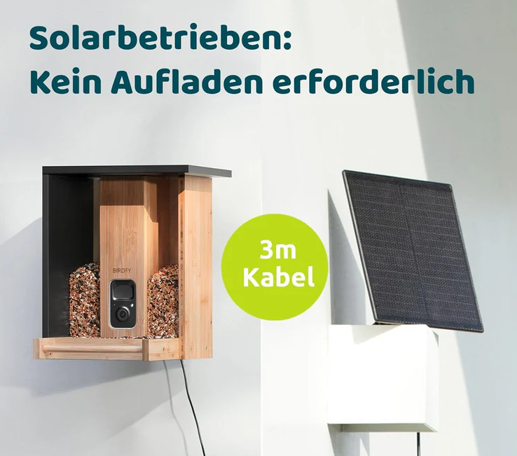 Ein solarbetriebener Vogelfutterspender mit Kamera. Er ist aus Holz und hat ein Solarpanel. Der Text lautet: Kein Aufladen erforderlich.