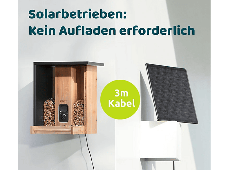 Birdfy Bamboo, Futterstelle mit Kamera und Solarpanel — Foto 3 von 3