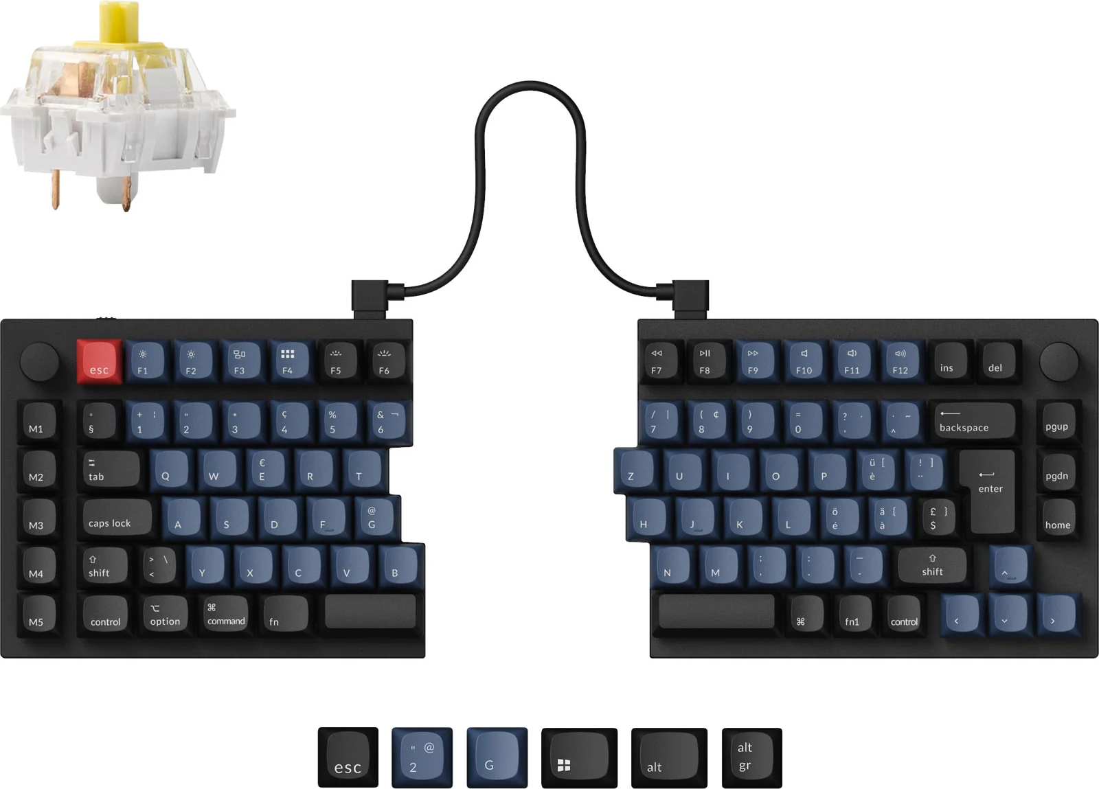 Eine geteilte Tastatur mit blauen Tasten und einem separaten Schalter. Die Tastatur ist durch ein schwarzes Kabel verbunden. Zusätzliche Tasten sind unten.