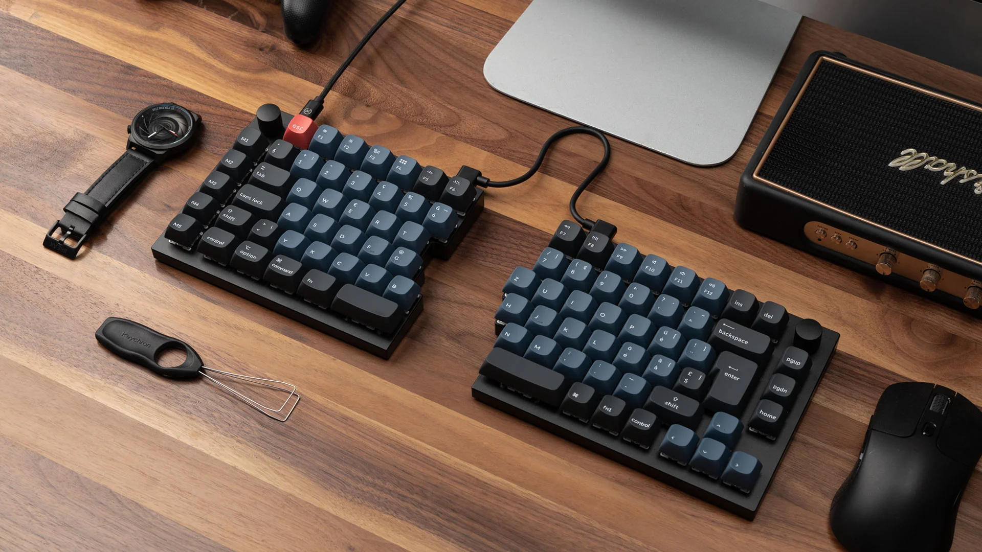 Zwei geteilte Tastaturen mit blauen Tasten liegen auf einem Holztisch. Eine Uhr, Maus, Lautsprecher und Keycap-Abzieher sind ebenfalls vorhanden.