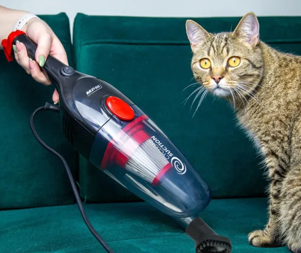Osoba trzyma czarno-czerwony odkurzacz w pobliżu brązowego kota pręgowanego na zielonej sofie. Kot patrzy w kamerę.