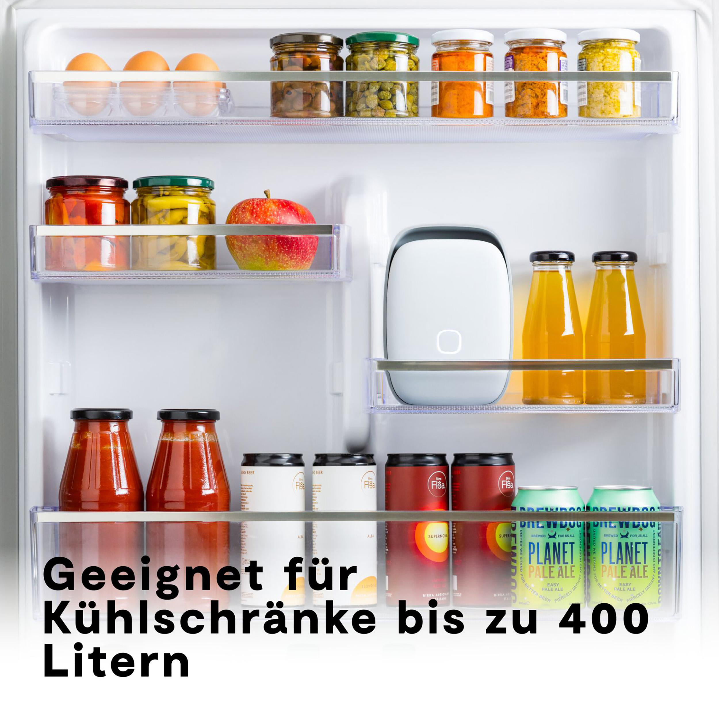 Kühlschrank-Innenraum: Eier, Gläser mit Essen, Apfel, weißes Gerät, Saftflaschen, Tomatensauce, Dosen und Text.