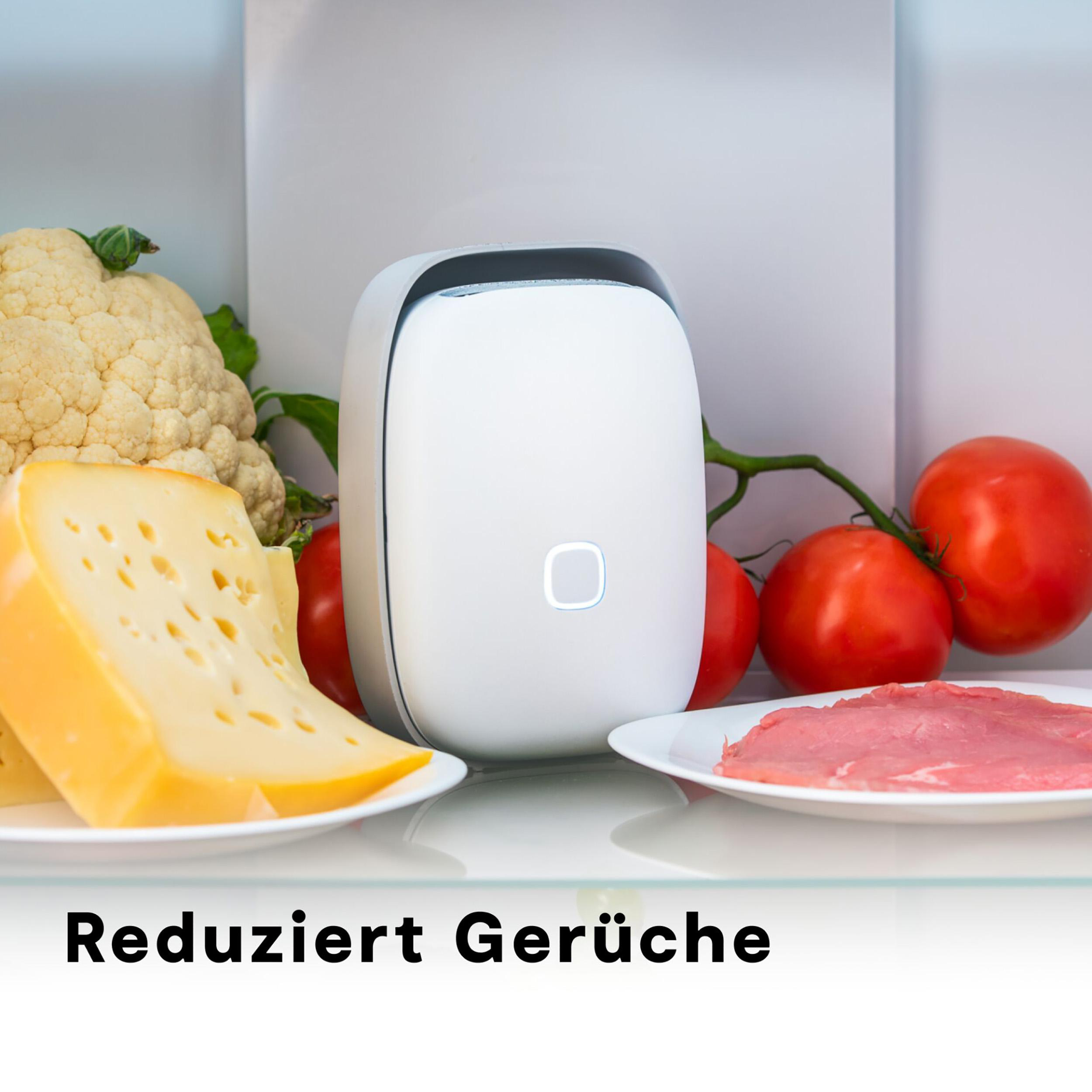 Kühlschrankinnenraum mit Käse, Tomaten, Fleisch und einem weißen geruchsreduzierenden Gerät. Text unten: Reduziert Gerüche.