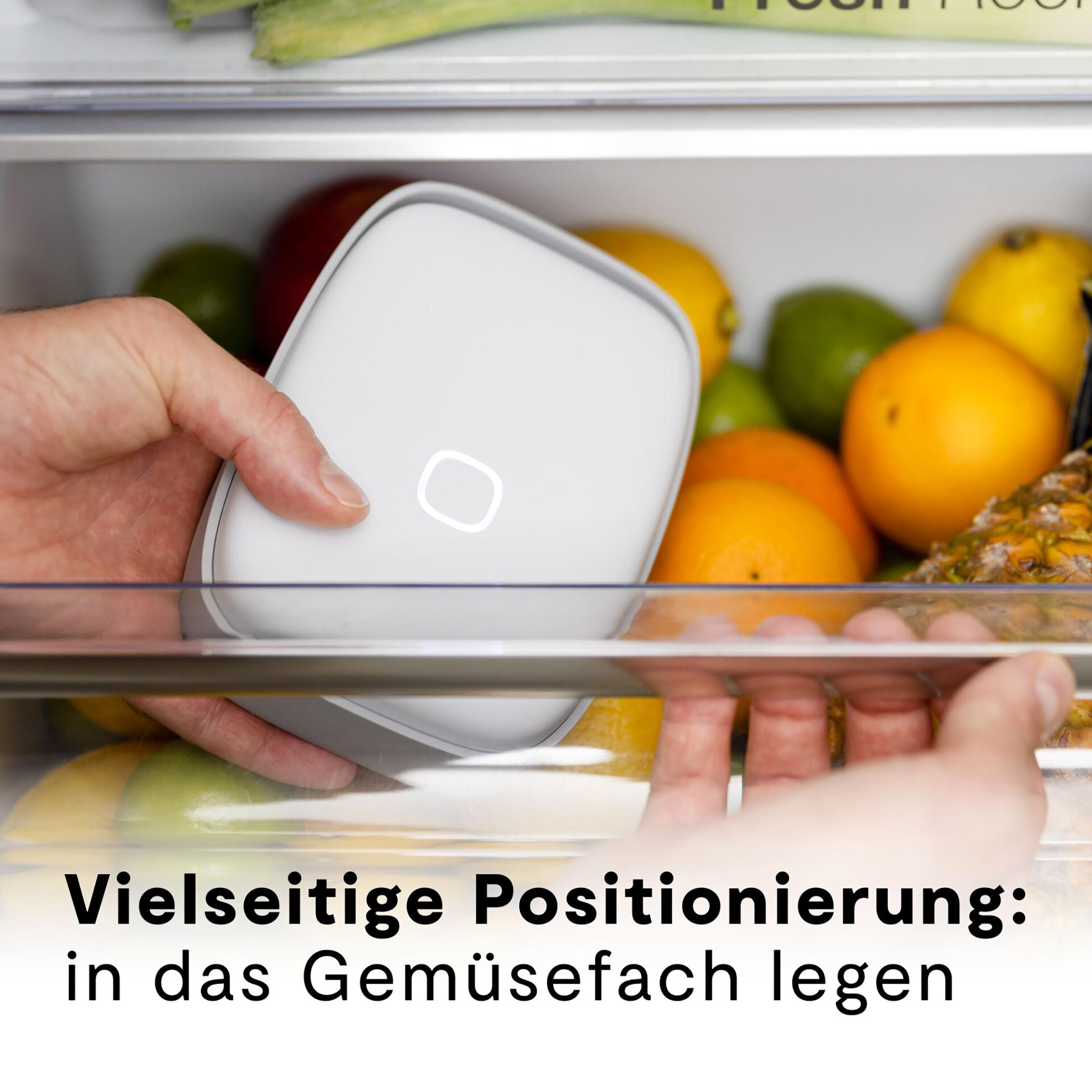 Eine Hand legt ein weißes Gerät in eine Kühlschublade mit Früchten, darunter Orangen und Zitronen.