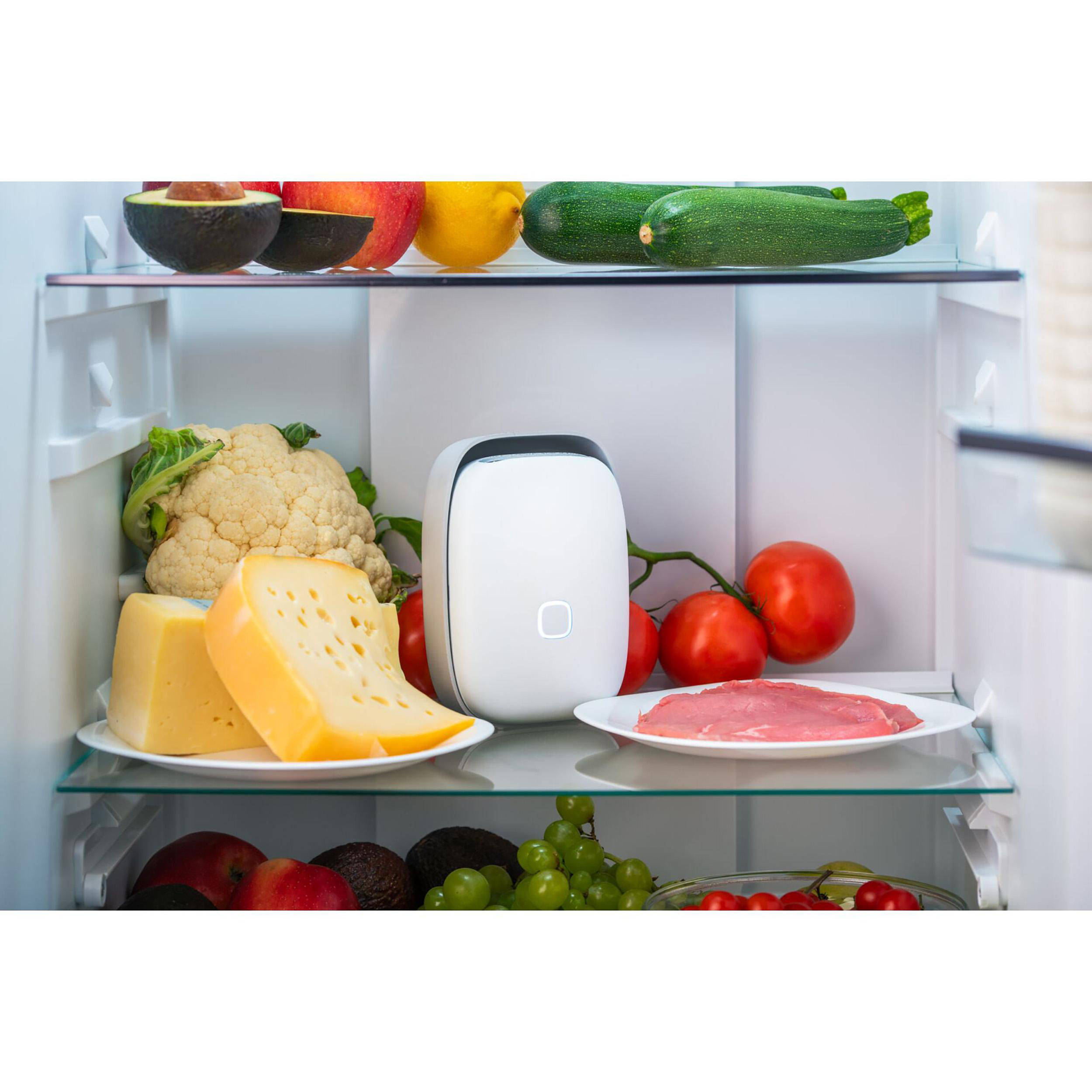 Ein Kühlschrank voller Lebensmittel: Obst, Gemüse, Fleisch, Käse und ein weißes Gerät. Die Regale sind aus Glas.