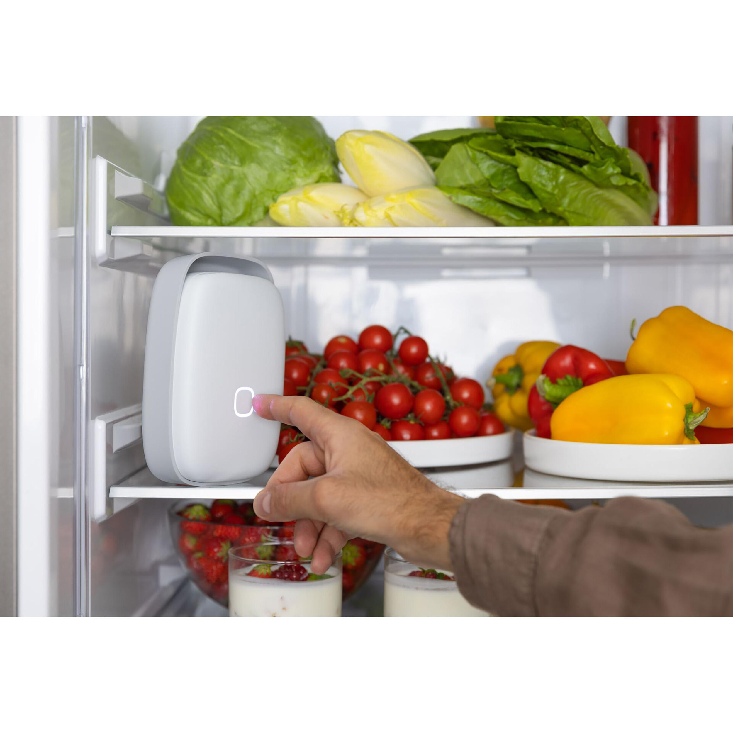 Eine Person drückt einen Knopf an einem Gerät in einem Kühlschrank mit Gemüse, Tomaten und Erdbeeren.