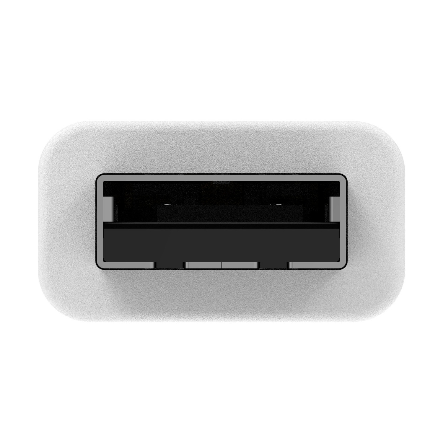 Primo piano di una porta USB bianca. L'interno è nero. La porta è rettangolare con bordi arrotondati.