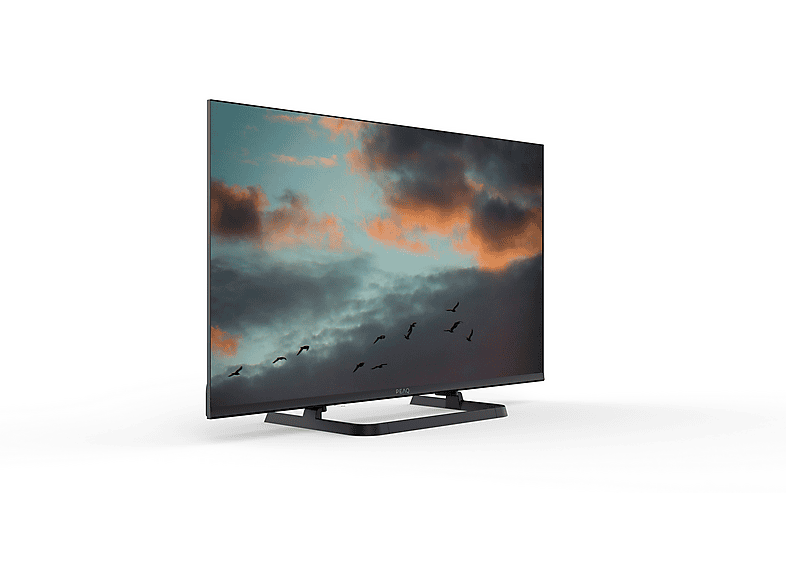 Vista 2