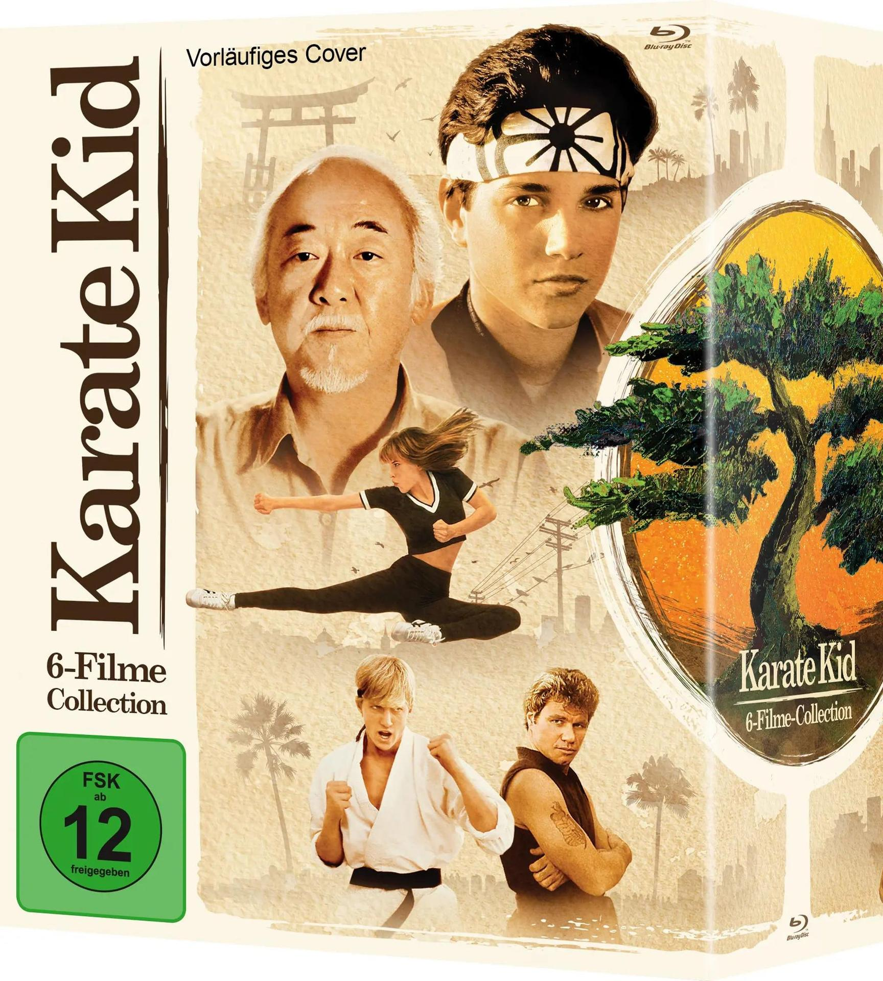 Filmcover von Karate Kid, mit Schauspielern und Logo. Enthält eine grüne FSK 12-Bewertung.