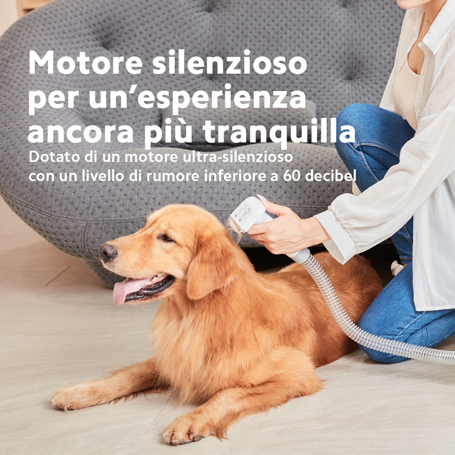 Una persona sta tosando un golden retriever con uno strumento per la toelettatura. Il cane è sdraiato. Lo sfondo include un divano grigio.