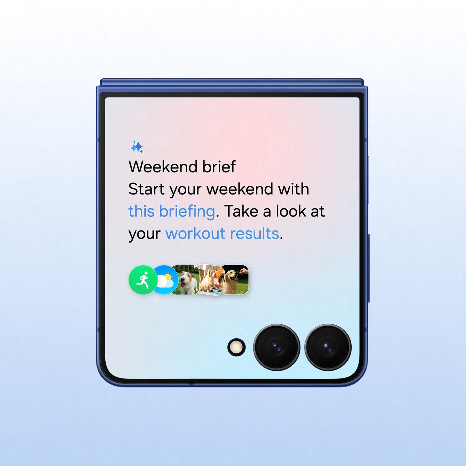 Una pantalla de teléfono muestra un resumen del fin de semana y resultados de entrenamiento, con imágenes de perros y lentes.
