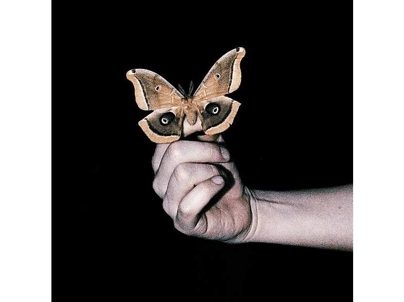 Virgin Music Soulwax - All Systems Are Lying Lp