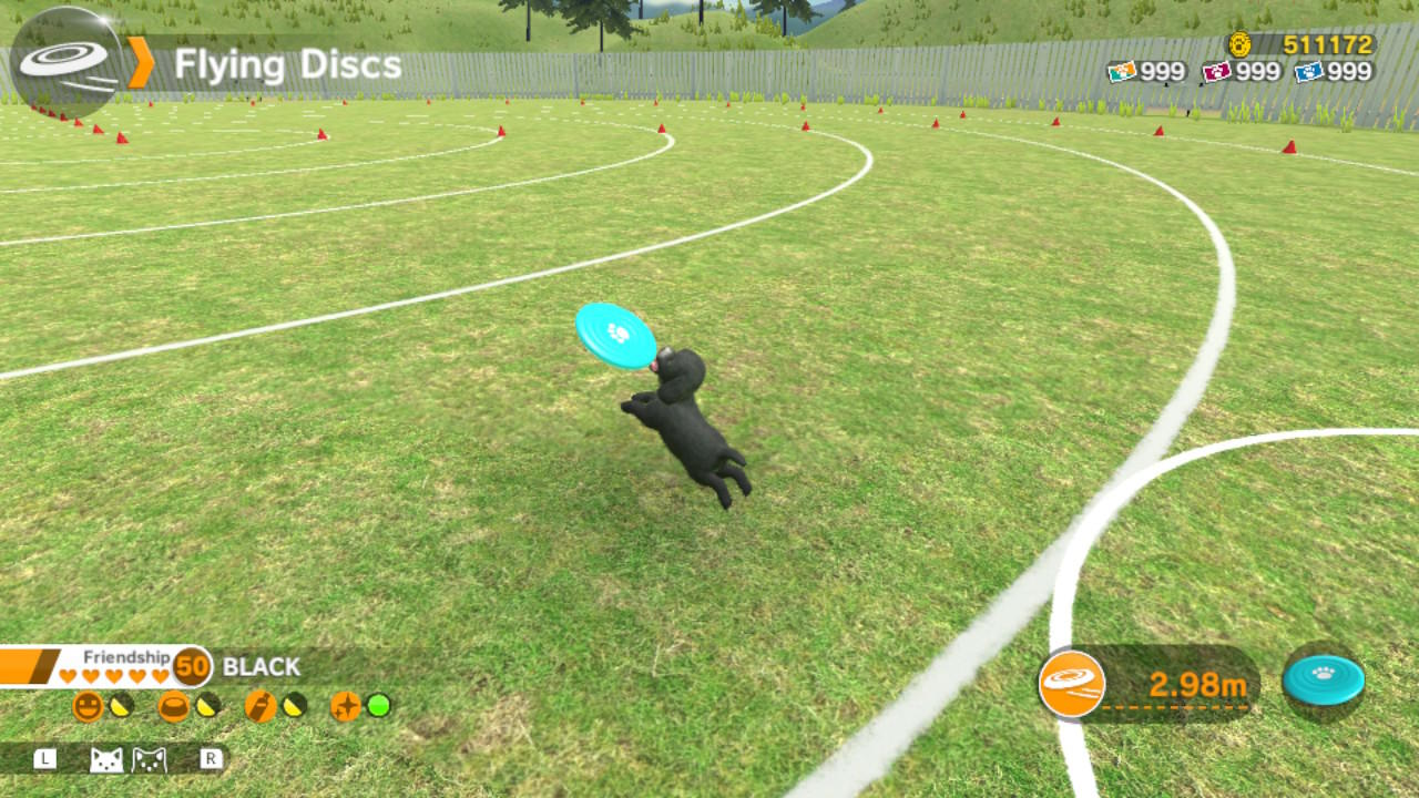 Ein schwarzer Hund springt, um eine blaue Frisbeescheibe auf einem grünen Feld zu fangen. Weiße Linien und orangefarbene Kegel markieren den Kurs.