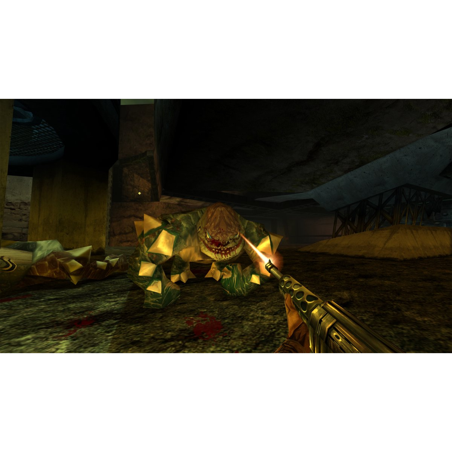 Een first-person shooter perspectief. Een geweer vuurt op een monster met stekelige uitsteeksels. Bloed op de grond. Donkere, kerkerachtige omgeving.